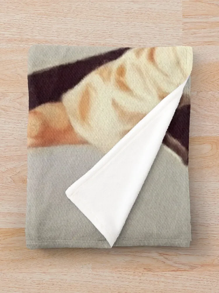 Марк Болан, музикална легенда Хвърли одеяло декоративно хвърляне за диван тънки одеяла за легло каре на дивана одеяла